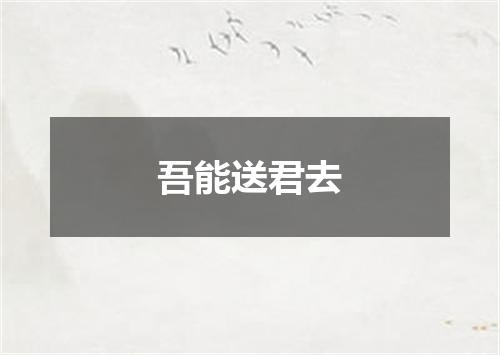 吾能送君去