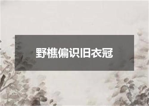 野樵偏识旧衣冠