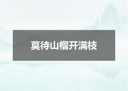 莫待山榴开满枝