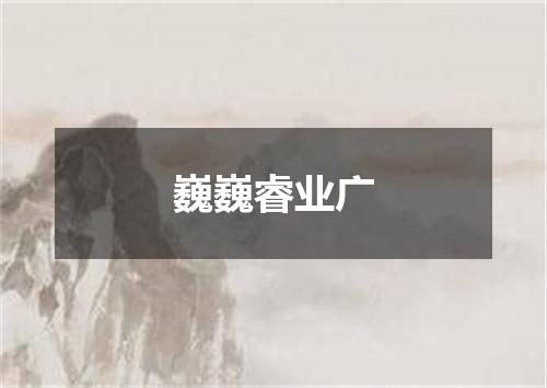 巍巍睿业广