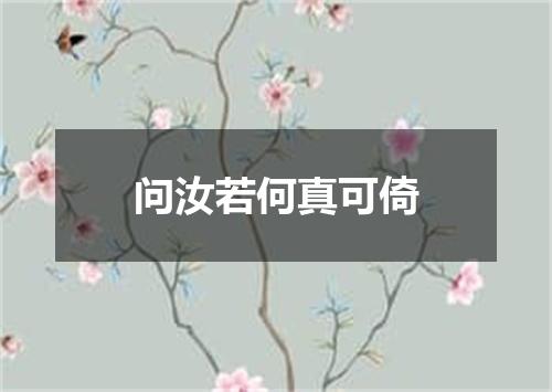 问汝若何真可倚