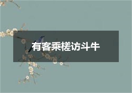 有客乘槎访斗牛