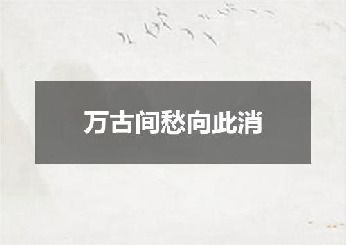 万古间愁向此消