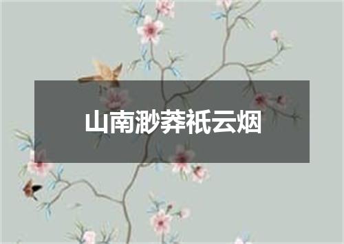 山南渺莽祇云烟