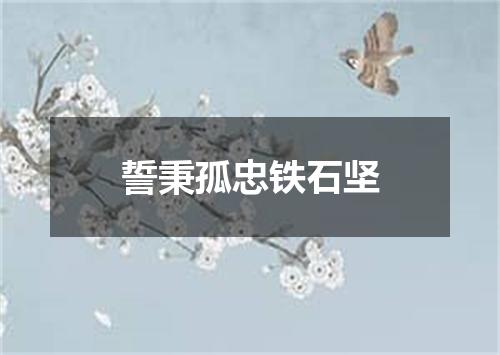 誓秉孤忠铁石坚