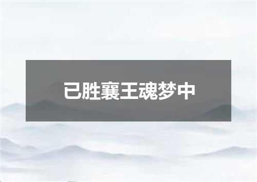 已胜襄王魂梦中