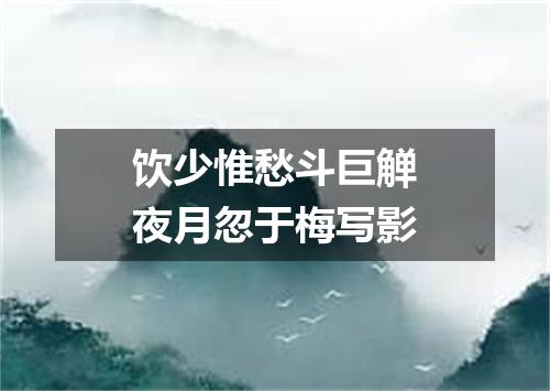 饮少惟愁斗巨觯夜月忽于梅写影