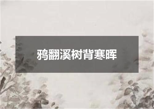 鸦翻溪树背寒晖