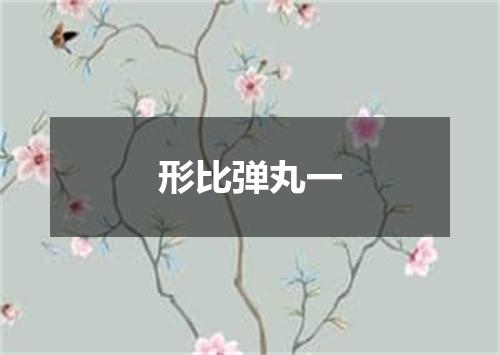 形比弹丸一