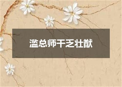 滥总师干乏壮猷