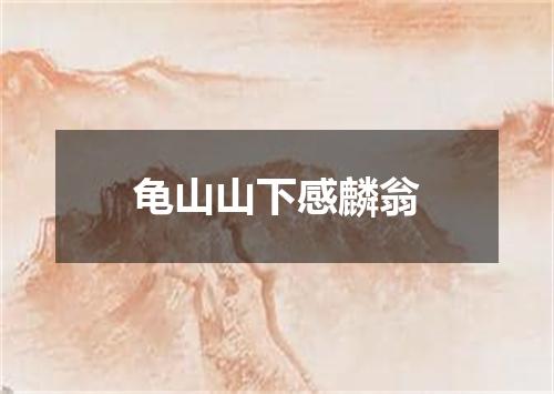 龟山山下感麟翁