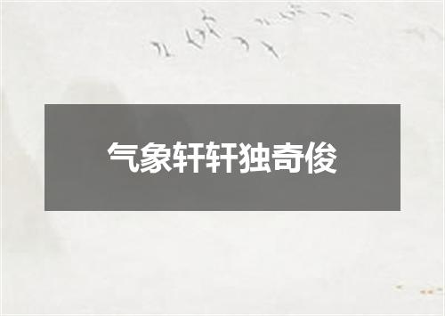 气象轩轩独奇俊