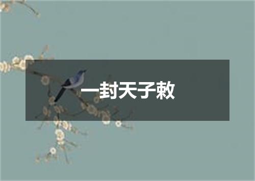 一封天子敕