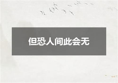 但恐人间此会无