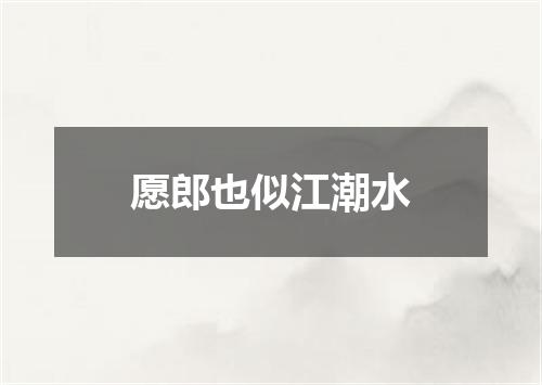 愿郎也似江潮水
