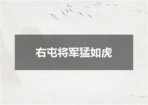右屯将军猛如虎