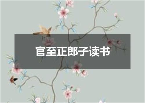 官至正郎子读书