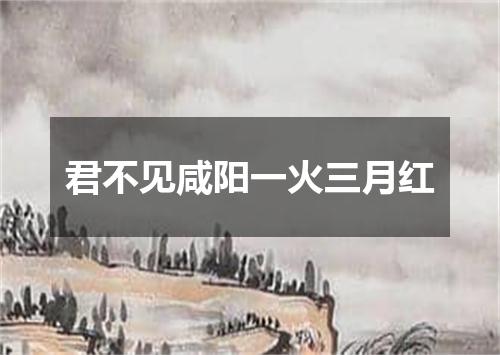 君不见咸阳一火三月红