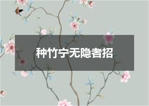 种竹宁无隐者招