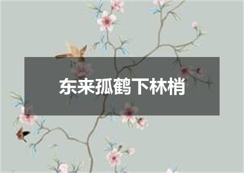 东来孤鹤下林梢