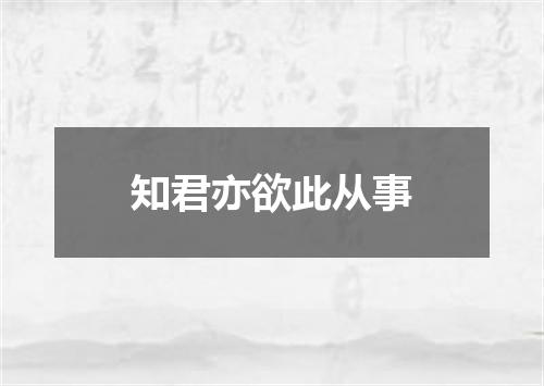 知君亦欲此从事