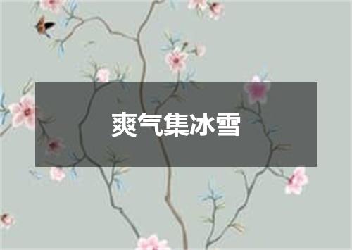爽气集冰雪