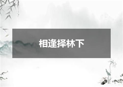 相逢择林下
