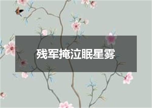 残军掩泣眠星雾
