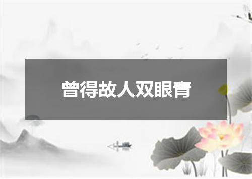 曾得故人双眼青