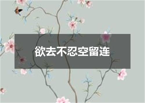 欲去不忍空留连