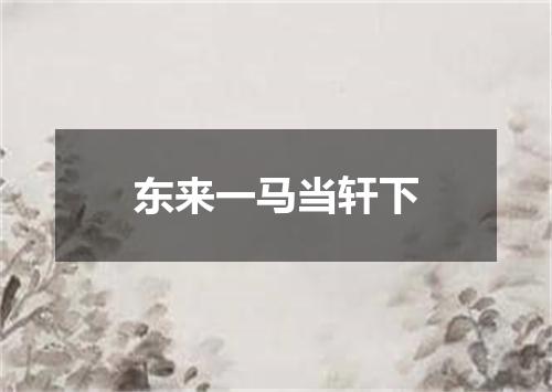 东来一马当轩下