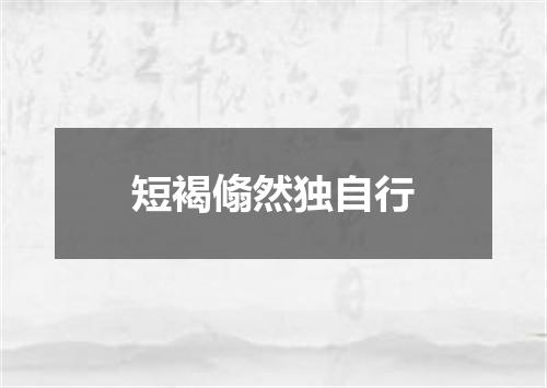短褐翛然独自行