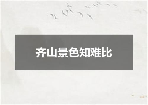 齐山景色知难比