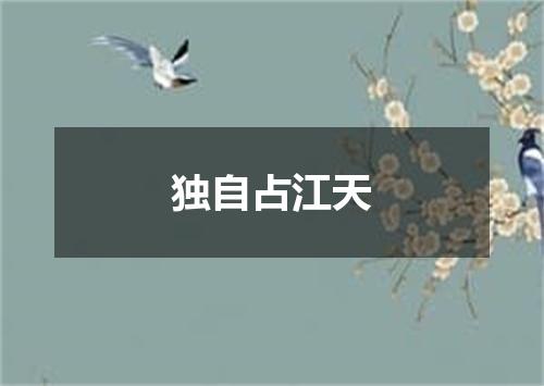 独自占江天
