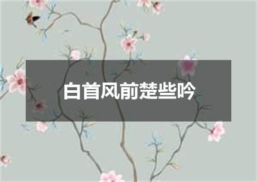 白首风前楚些吟