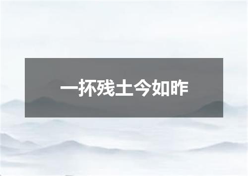 一抔残土今如昨