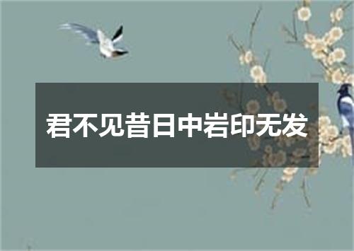 君不见昔日中岩印无发