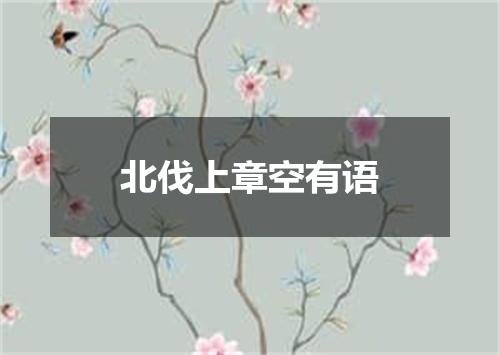 北伐上章空有语