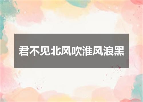 君不见北风吹淮风浪黑