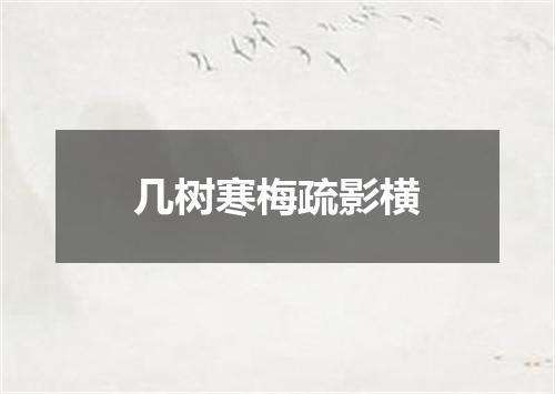 几树寒梅疏影横