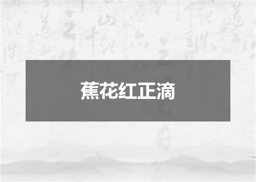 蕉花红正滴