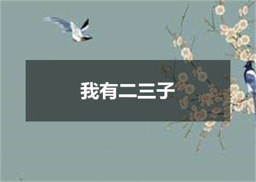 我有二三子