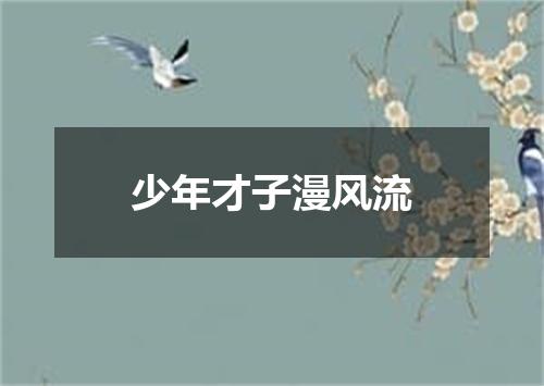 少年才子漫风流