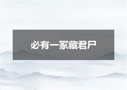 必有一冢藏君尸