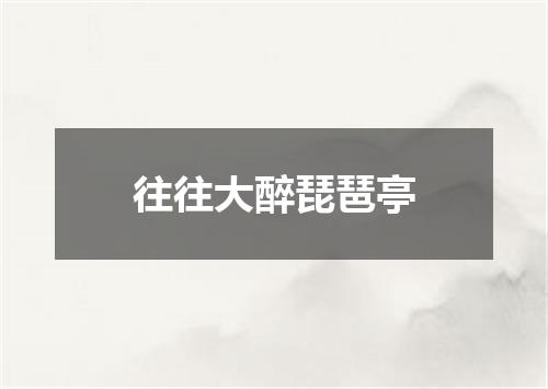 往往大醉琵琶亭