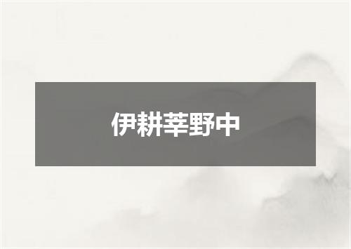 伊耕莘野中