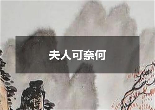 夫人可奈何