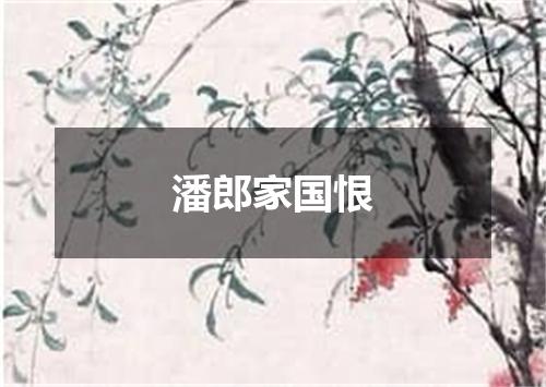 潘郎家国恨