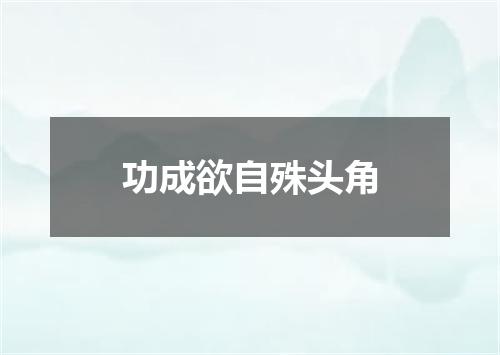 功成欲自殊头角