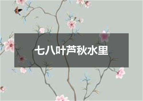 七八叶芦秋水里